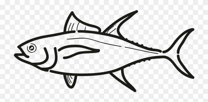 Atun Claro Rabil Thunnus Albacares - Atlantic Bluefin Tuna #1682443