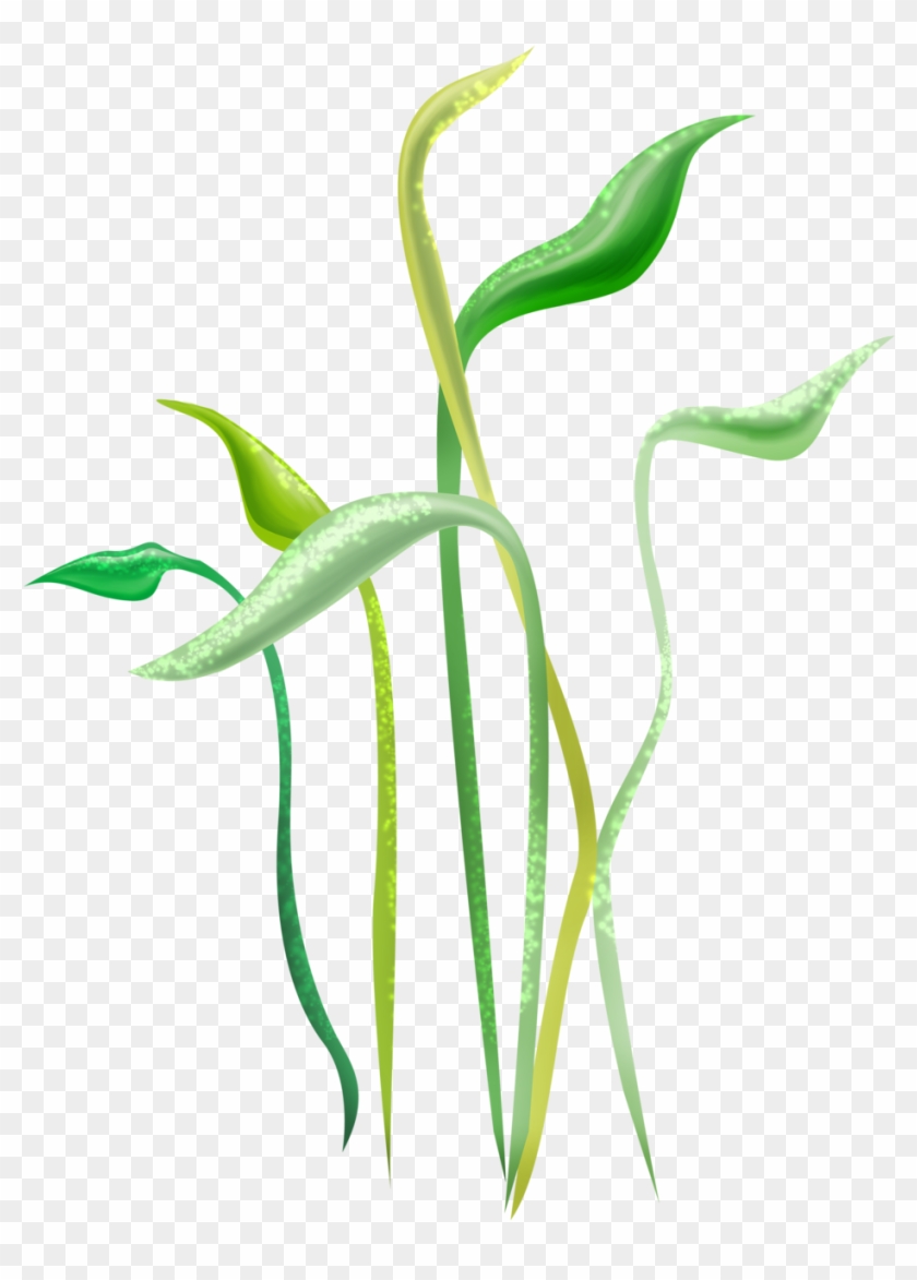 Яндекс - Фотки - Drawn Plant Png #1682586