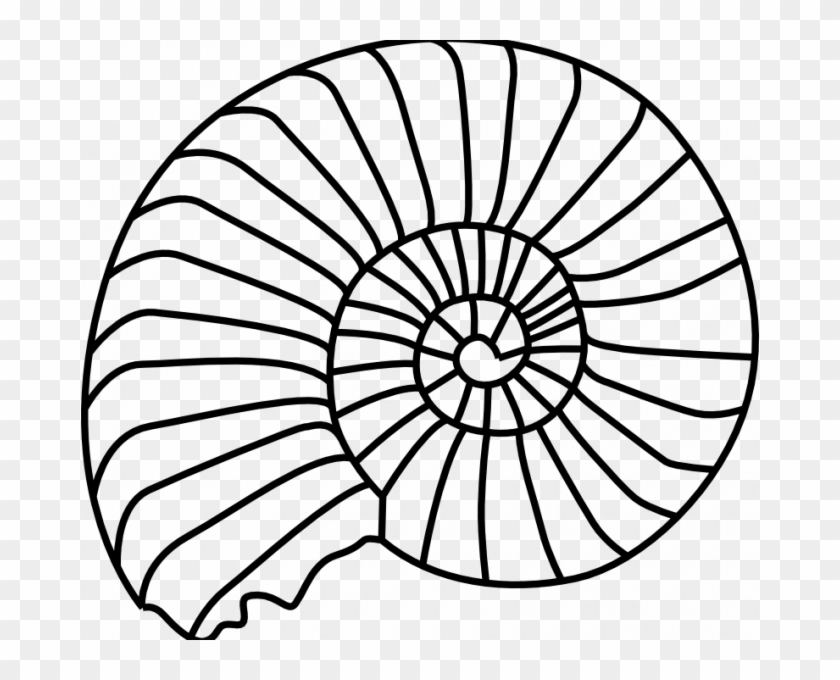 How To Draw A - Shell Outline #1682982