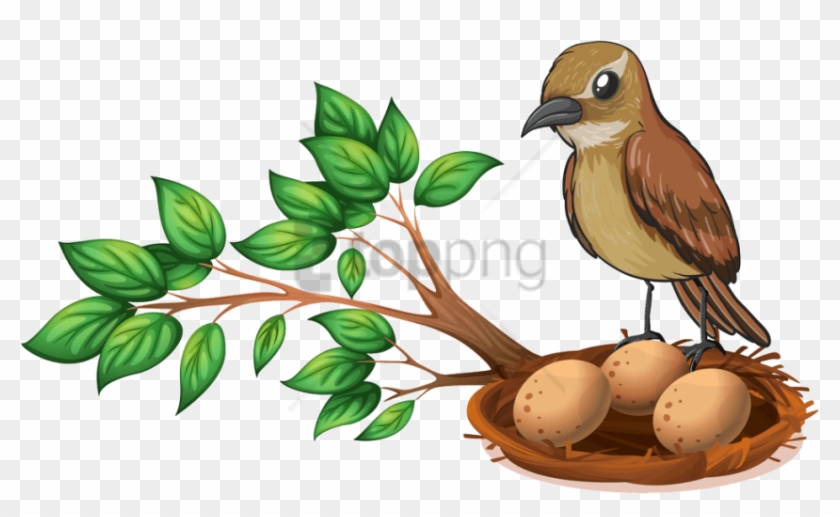 Free Png Download Bird Nest On Tree Png Images Background - Sparrow With Nest Clipart #1683008