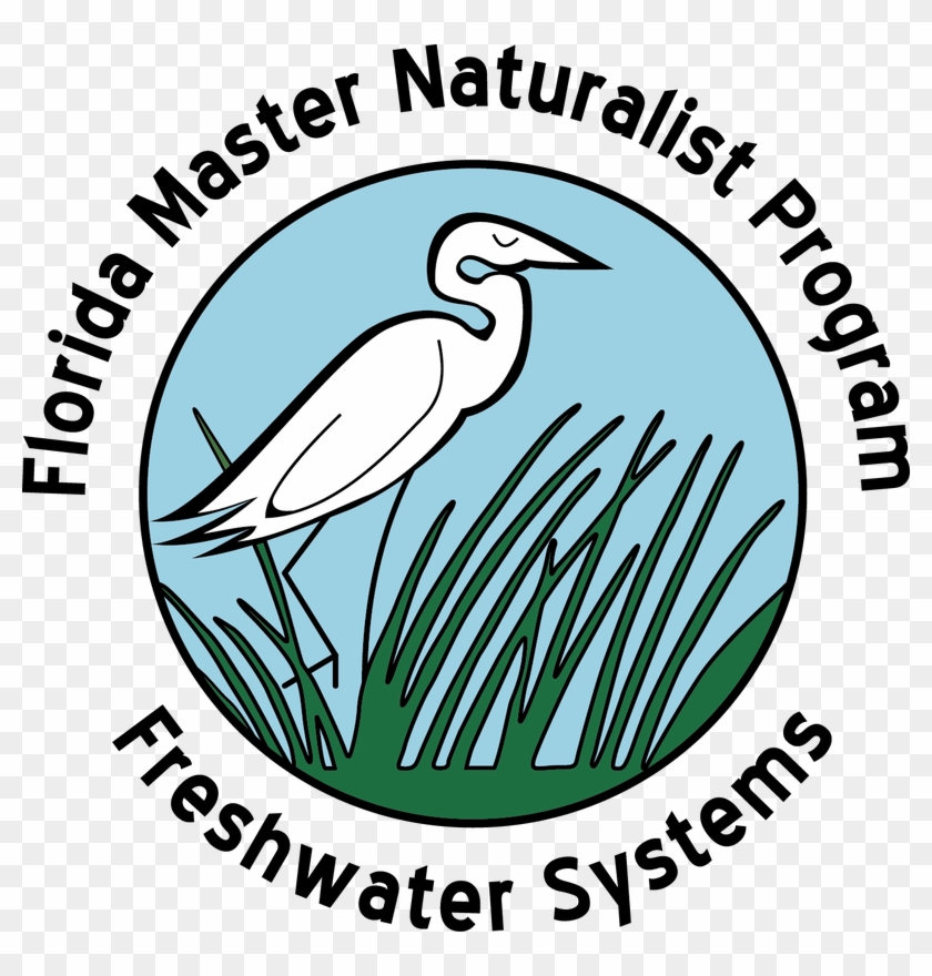 Picture - Florida Master Naturalist #1683041