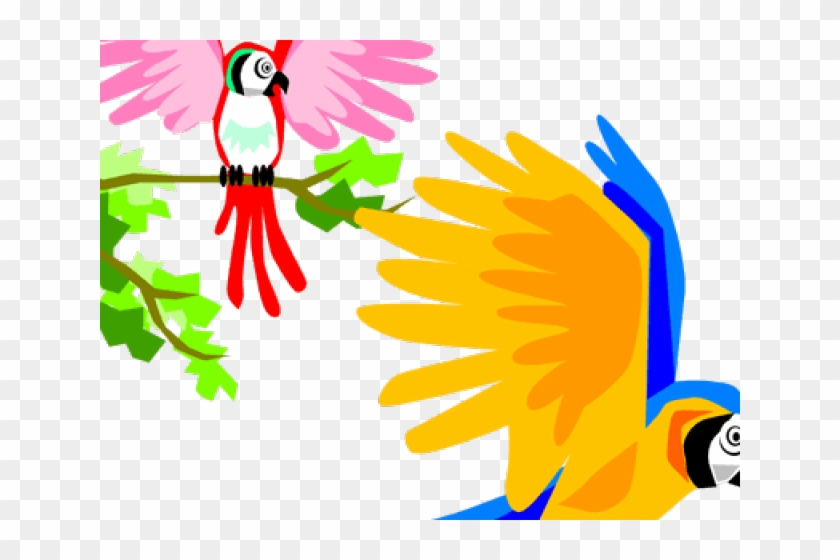 Tropical Clipart Colorful Bird - Parrot Toon Fly Png #1683291