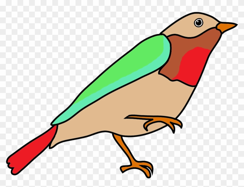 Drawing color funny bird tuccane Royalty Free Vector Image