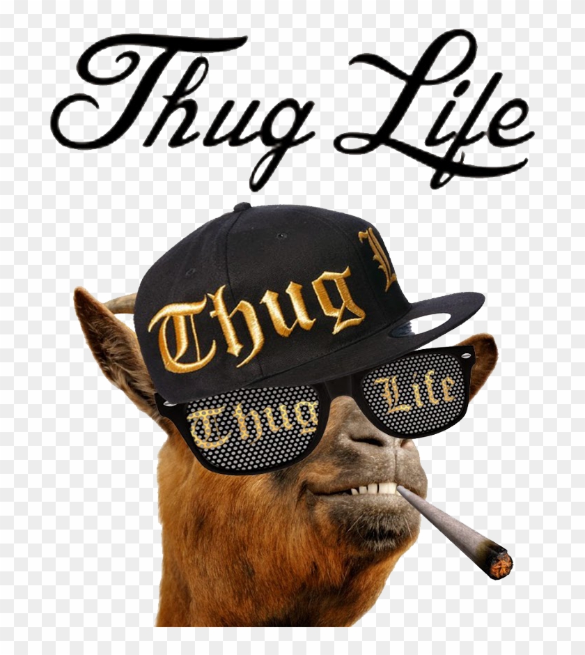 Thug Life #1683381