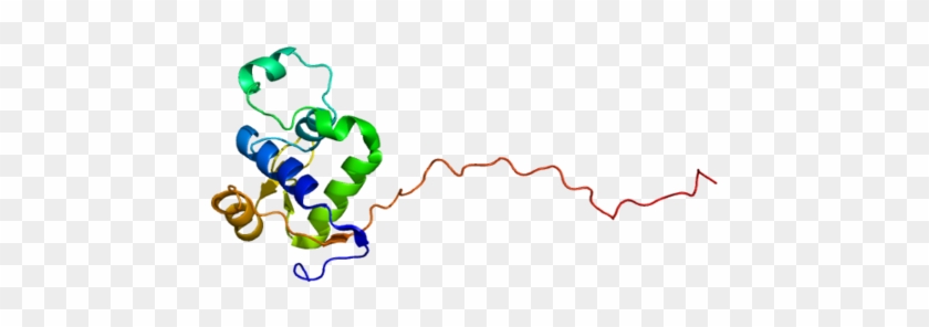 Protein Wrn Pdb 2axl - Gen Wrn #1683526
