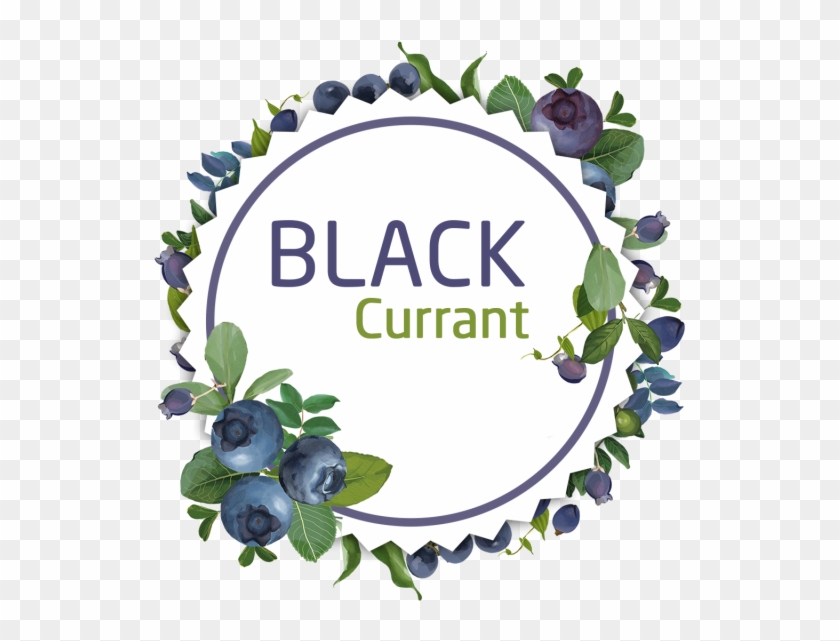 Decorative Watercolor Black Currant Wreath Stickers, - Huckleberry #1683612