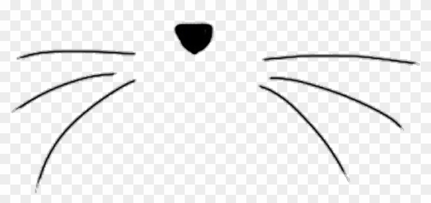 ##cat #nose #bigote #nariz #gato - Black And White Transparents #1683665
