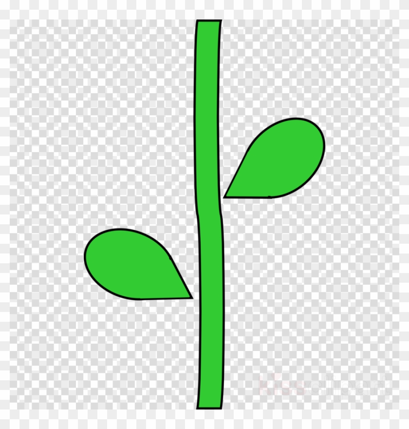 Flower Stem Clipart Plant Stem Clip Art - Mockup Cap Trucker #1683689