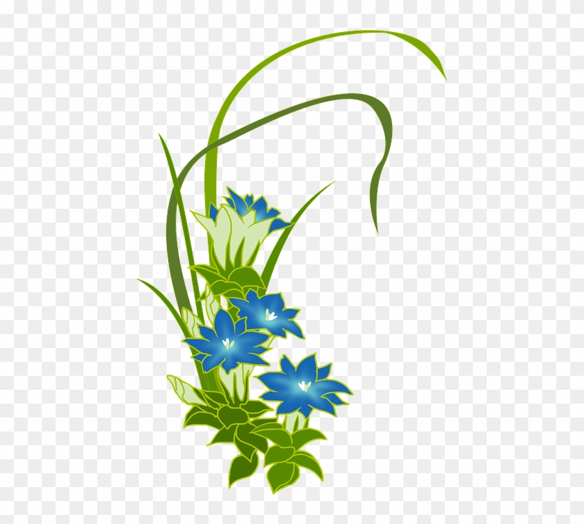 Gentian, Wild Grass, Blue, Flowers, Fuderindou - Transparent Green And Blue Flower #1683705