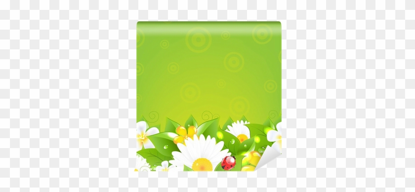 Borders With Grass And Colorful Flowers Wall Mural - Flower #1683714