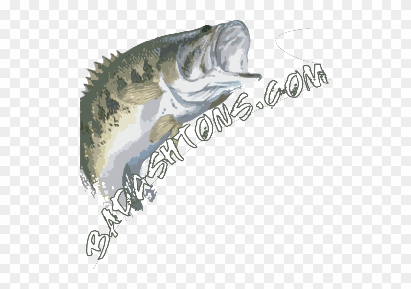 Fishing #1683960