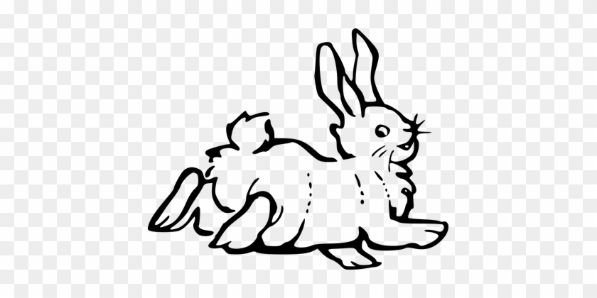 Rabbit, Back, Happy, Farm, Looking - Rabbit Clip Art #1683971