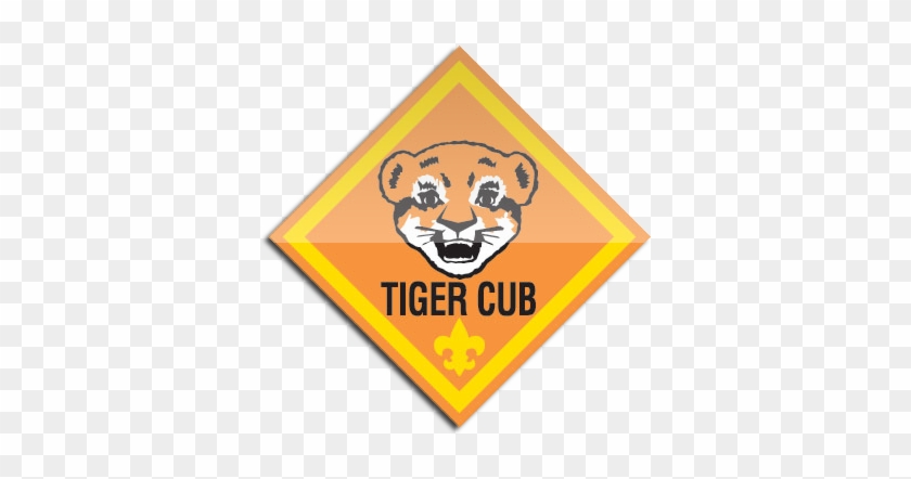 Tiger Cub Scouts Are First Graders - Cub Scout Tiger Cub #1683975