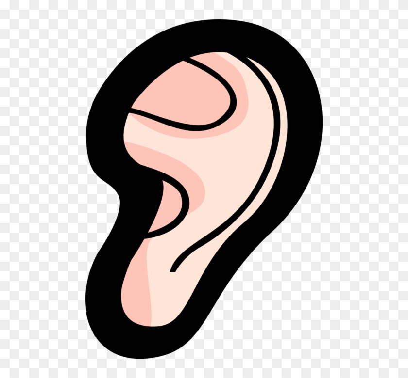 Hearing Clipart Human Ear - Hearing Clipart Human Ear #1683997