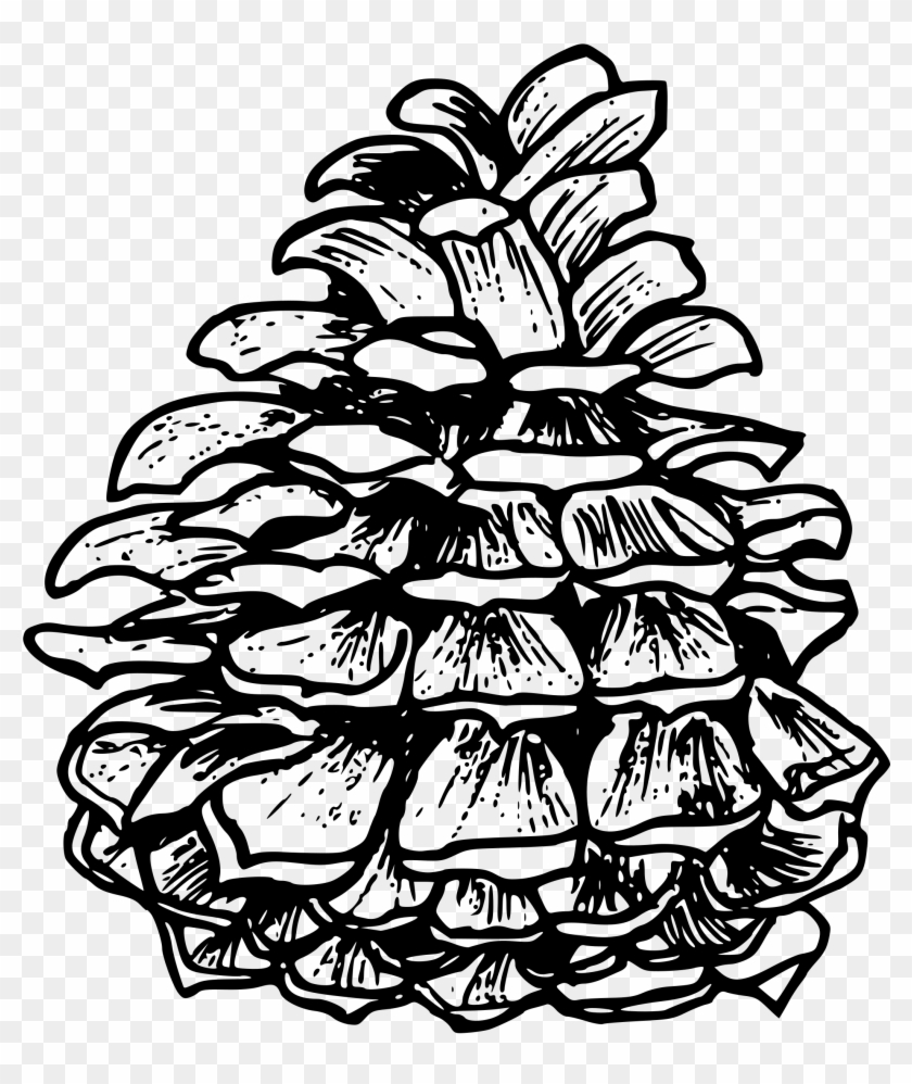 Ponderosa Pine Png - Outline Black And White Autumn Landscapes #1684121