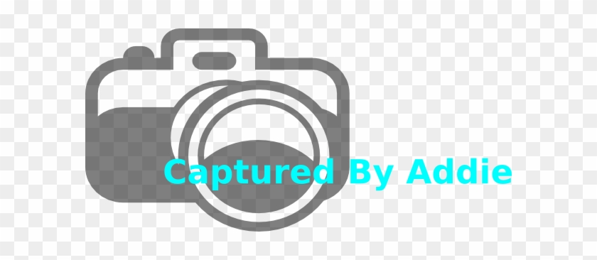 Camera Clip Art #1684155