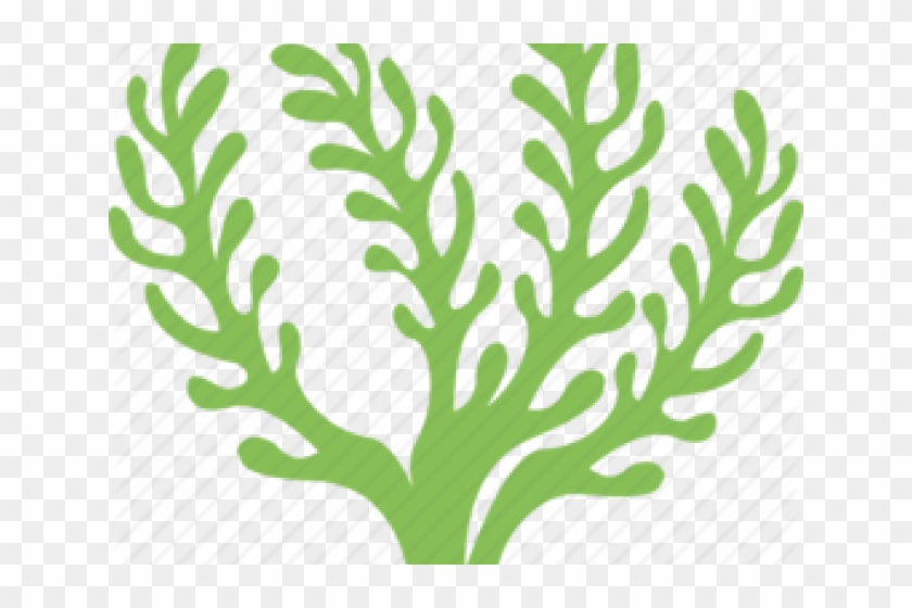 Seaweed Clipart Underwate Sand - Sea Weed Icon #1684226