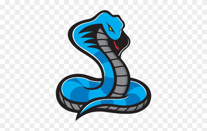 600 X 600 1 - Snake Mascot Logo Png #1684274