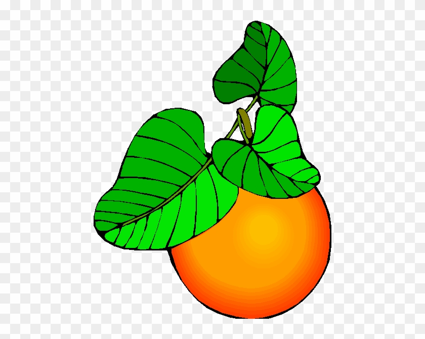 Mango Clipart Buah Buahan - Fruit #1684560