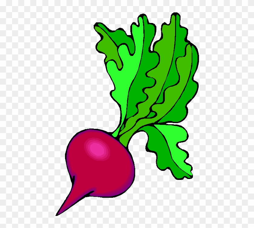 Mango Clipart Buah Buahan - Beet #1684568