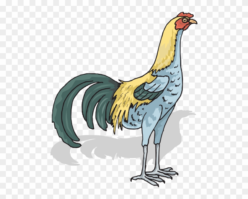 Tall Rooster Clip Art At Clker Com - Gambar Gerak Ayam Jago #1684598