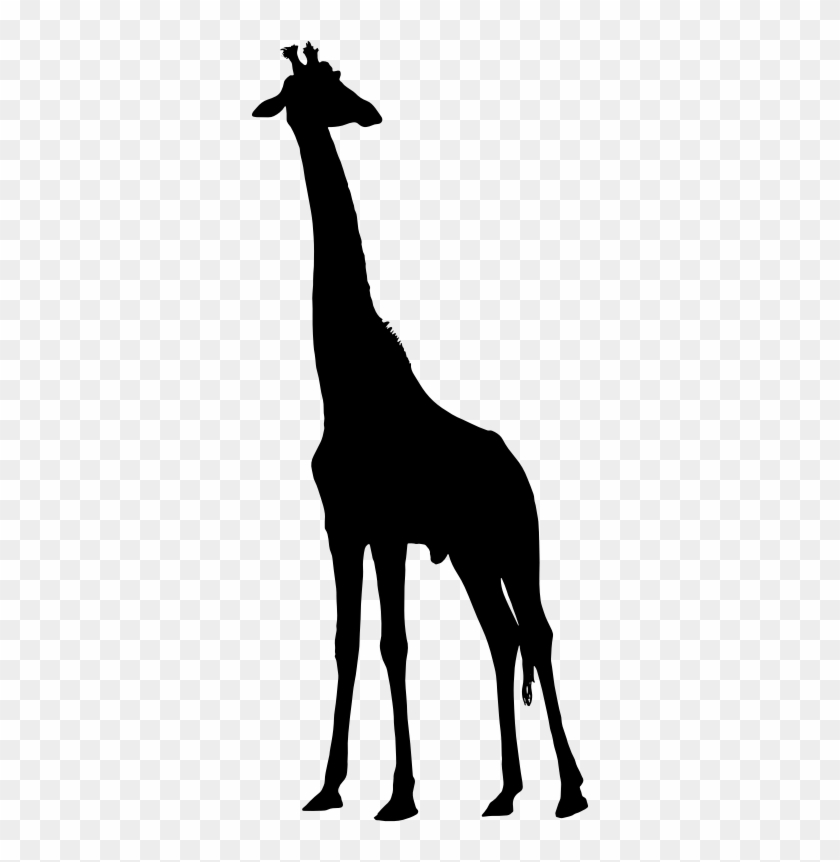 Medium Image - Silhouette Giraffe Clipart #1684754