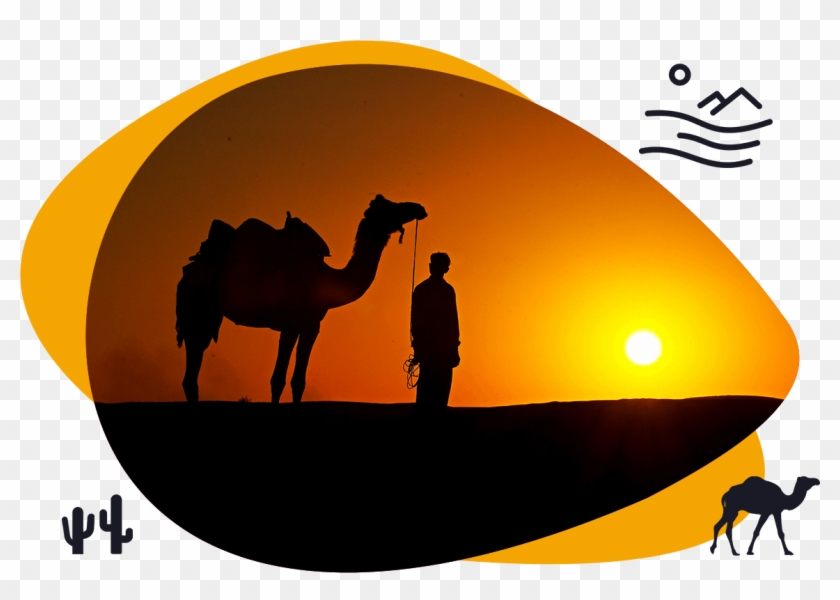Half Day Sunset Camel Safari Shiva Camels Jaisalmer - Jaisalmer Sand Dunes #1684755