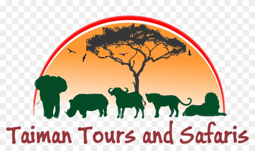 Taiman Tours And Safaris - Indian Elephant #1684761