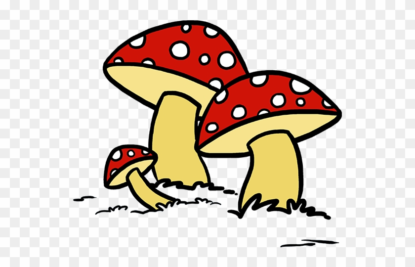 680 X 678 11 - Draw A Mushroom Step By Step #1684799