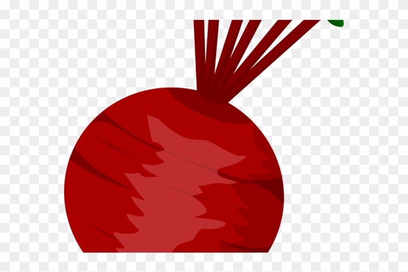 Beetroot Clipart Edible Root - Beet Clipart #1684802