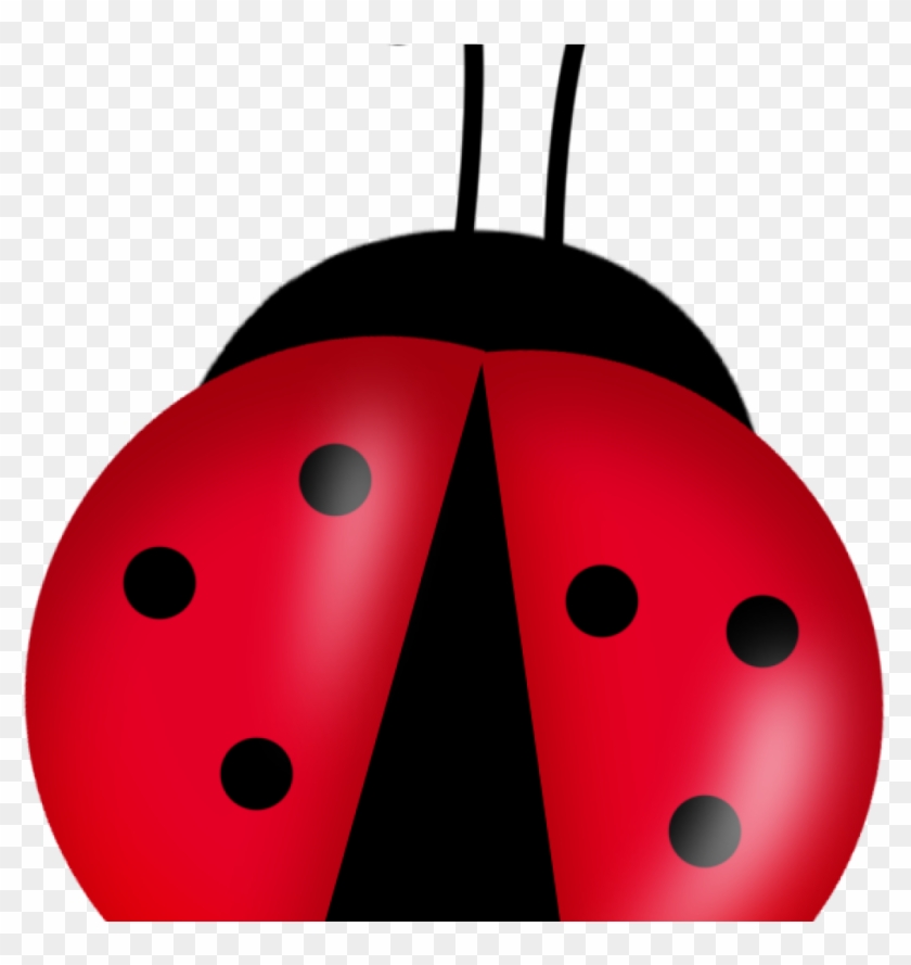 Ladybugs Clipart Cute Ladybugs Clipart Buscar Con Google - Ladybug Png #1684959