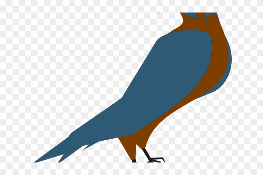 Peregrine Falcon Clipart Vector - Parrot #1685007