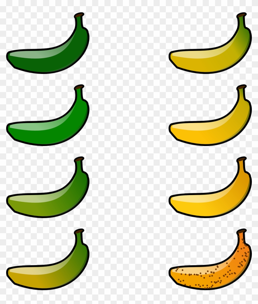 Banana,degree Of - 10 Bananas Clipart #1685038