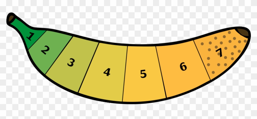 Yellow Banana Colour Scale - Yellow Banana Colour Scale #1685062