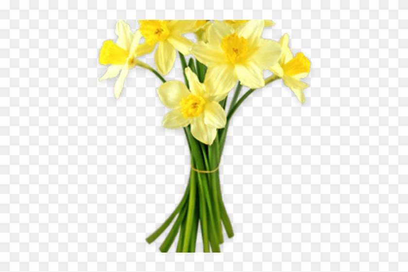 Daffodils Clipart Silhouette - Daffodil Png #1685467