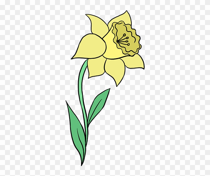 680 X 678 5 - Drawing Of A Daffodil #1685475