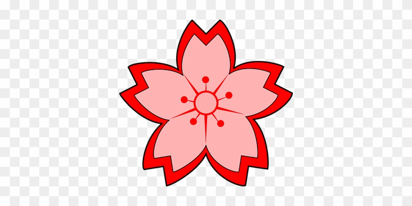 Flower, Blossom, Red, Daffodil, Nature - Sakura Flower #1685476