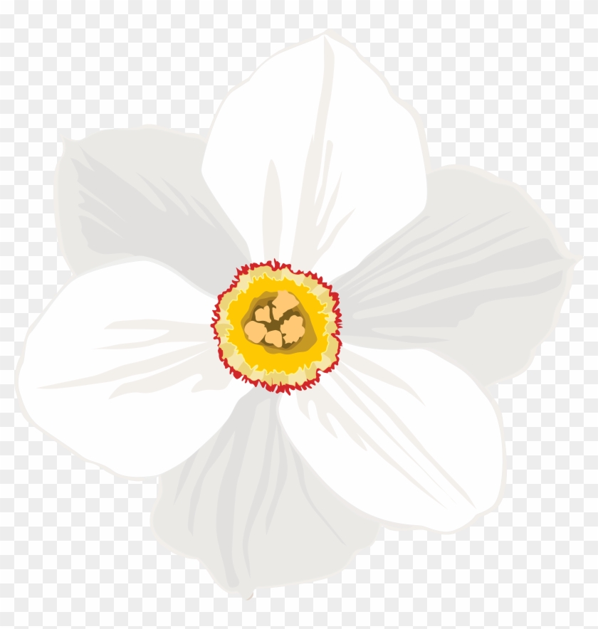 Daffodil Clipart Transparent Background , Png Download - Daffodil Clipart Transparent Background , Png Download #1685477