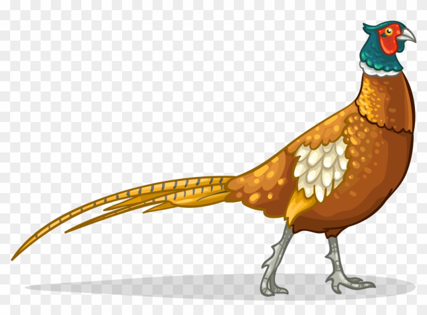 Pheasant Icon #1685693