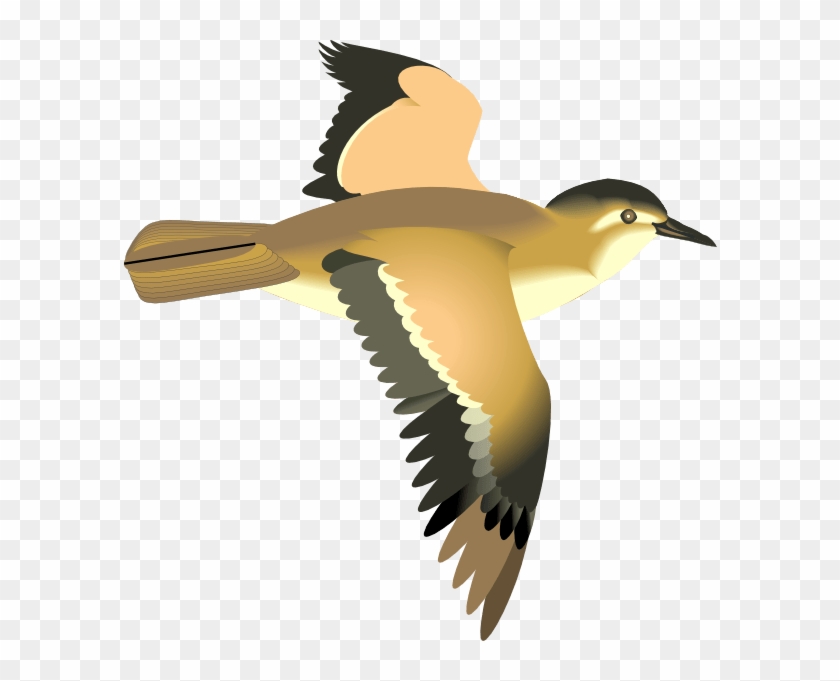 Transparent Clipart Flying Bird #1685702