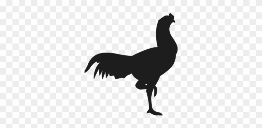Pheasants - Chicken Vector Silhouette Png #1685715