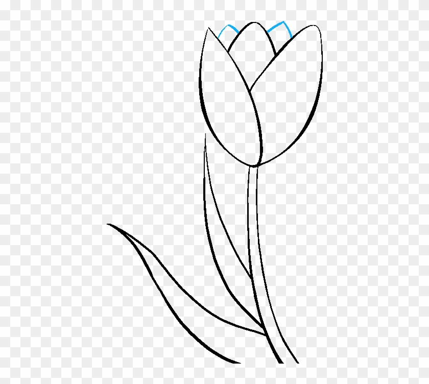 680 X 678 3 - Draw A Tulip #1685784