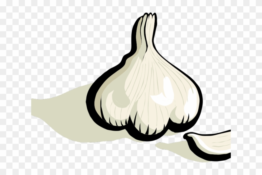 Garlic Clipart Animated - Clipart Garlic #1685842