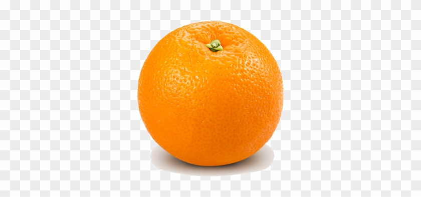 Ripe Orange #1686121