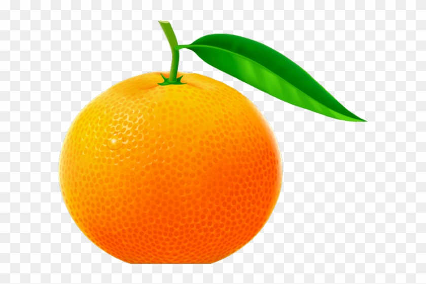 Orange Fruit Clipart 2 Orange - Quả Quýt #1686134