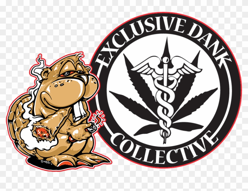 Exclusive Dank Collective - Child Welfare Society Of Kenya Logo #1686147
