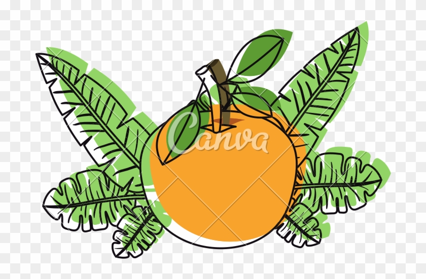 Orange With Leafs Fresh And Citrus Fruit - Illustration #1686148