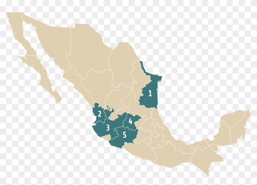 Agave Map - Mezcal - Mexico Population Map #1686169