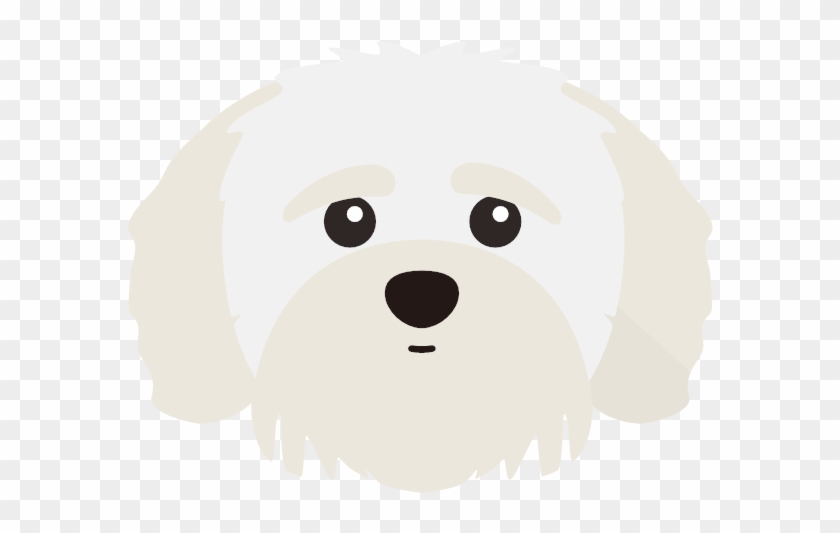 The Shih-poo - Cartoon #1686210