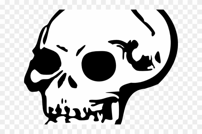 640 X 480 1 - Skull Clip Art #1686282